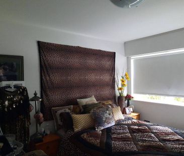 Pakuranga Privacy - Photo 5