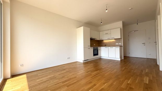 Kompakte + günstige Neubauwohnung mit MEGA-SÜD-LOGGIA (11,70m²) nahe Akademiepark - Photo 1