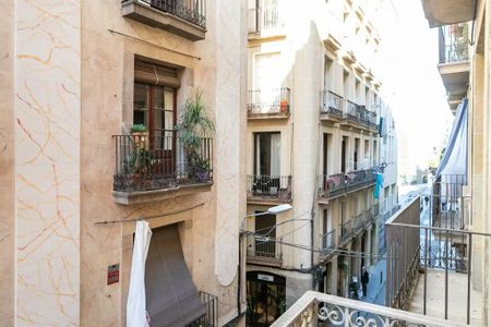 Carrer de Joaquín Costa, Barcelona, Catalonia 08001 - Photo 4