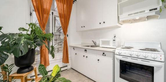 Appartement 3 ½ à louer Montcalm / Saint-Sacrement janvier 2026 - Photo 2