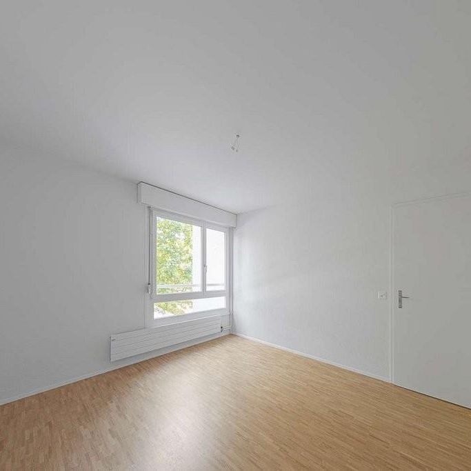 Wohnen im Kleefeld - Photo 1