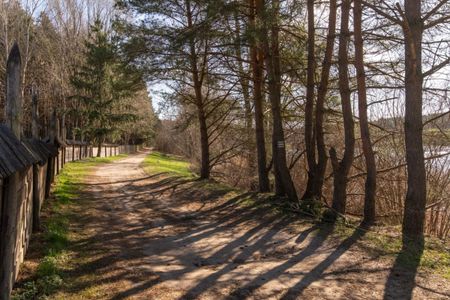 2 pok. Kanarkowa, Gutkowo, zwierzęta mile widziane 45 m² - Zdjęcie 2