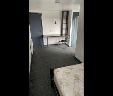 Room in a Shared House, Pershore Road, B29 - Photo 3