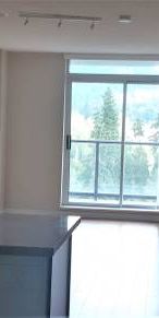 Pet Friendly! 2bdms, 2baths, 1den Hi-Rise near Coquitlam Centre - Photo 3