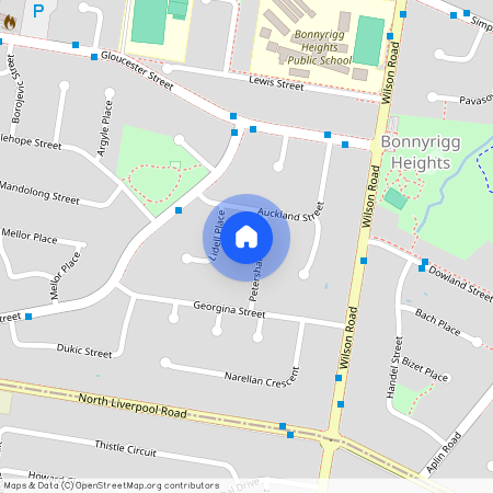 5 Petersham Street, NSW 2177, Bonnyrigg Heights