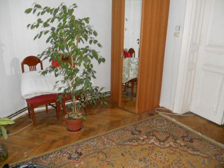 Vila Dacia - Fotografie 2