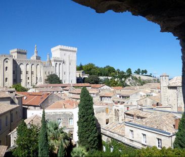 AVIGNON INTRA MUROS: Terrasse avec vue unique sur le Palais des Pap... - Photo 2