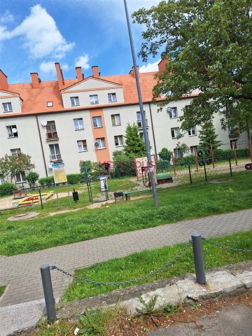 Rybnik, Śródmieście - Photo 3