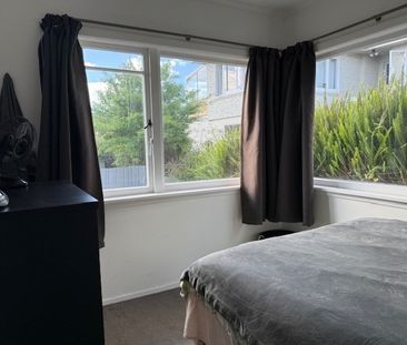 Modern Comfort - Gate Pa - Photo 6