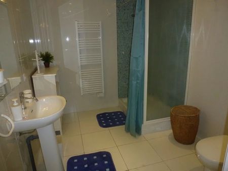 Location Appartement - Nice - Photo 5