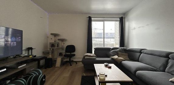 Appartement 4 ½ à louer Charlesbourg juillet 2026 - Photo 2