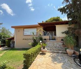 Μονοκατοικία για ενοικίαση - Ανάβυσσος - Photo 2