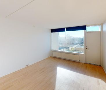 Lys lejlighed med naturskøn udsigt ved fjorden - Foto 3