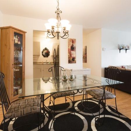 Appartement 4 ½ à louer Loretteville juillet 2026 - Photo 4