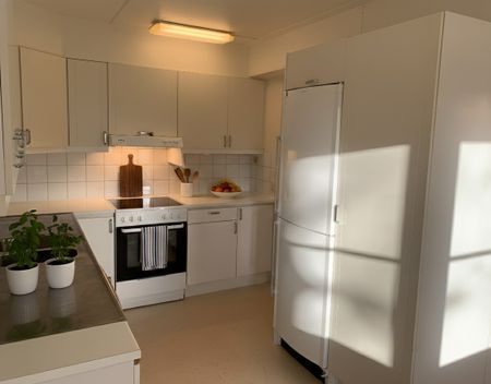 Otteshagen: Etta i lummigt område på nedre botten - Photo 2