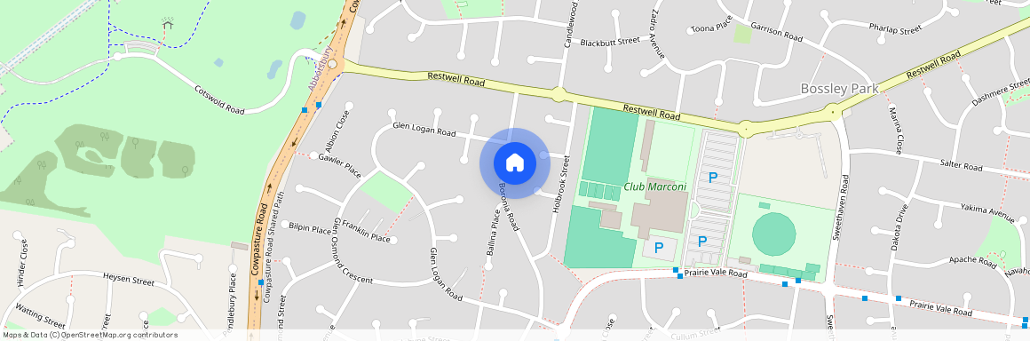 38 BORONIA RD, NSW 2176, Bossley Park