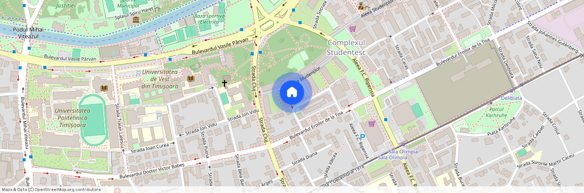 Timis, Timisoara