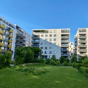 Moderne, sonnige, möblierte 70m2 Mietwohnung, 5. OG, zentral beim Bednar Park U1, provisionsfrei! - Foto 2