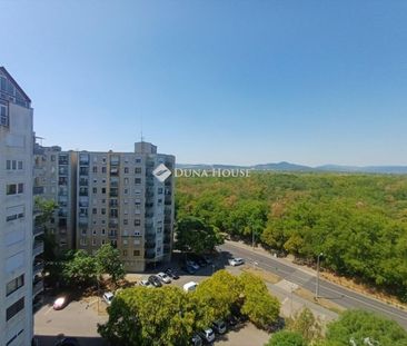 Kiadó jó állapotú panel lakás - Budapest IV. kerület - Fotó 1