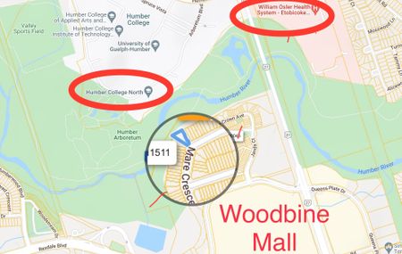 For Lease - 93 Mare Crescent, Toronto, Ontario - Photo 3