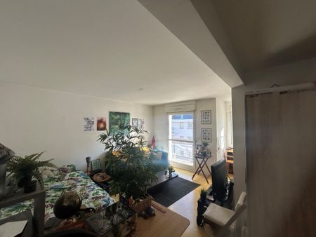 APPARTEMENT 1 PIECE STRASBOURG PETITE FRANCE - Photo 4