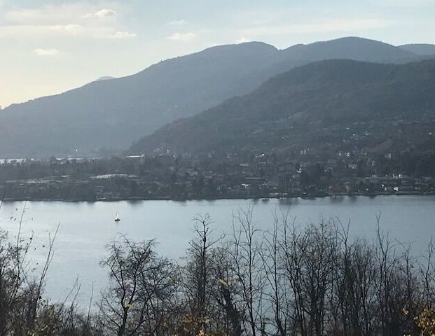 Villa de 6 pièces ; Montagnola, Collina d’Oro - Foto 1