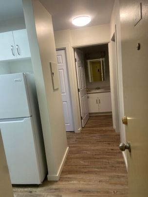 257 SCOTT AVE STUDIO SUITE - Photo 1