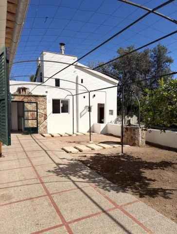 Planta baja de alquiler en Carrer de Can Socies, 6, Establiments - Photo 5