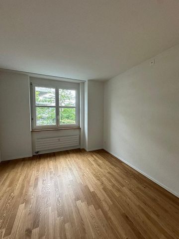 Erstbezug 3.5 Zimmerwohnung in Wetzikon - Foto 3