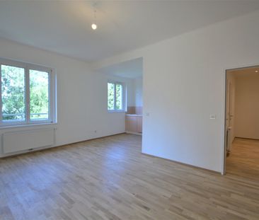 3-Zimmer-Wohnung Nähe Untere Donaulände! - Foto 4