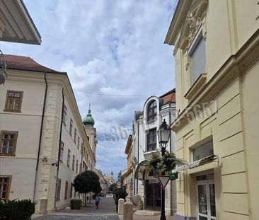 Kiadó felújított lakás - Pécs - Fotó 4