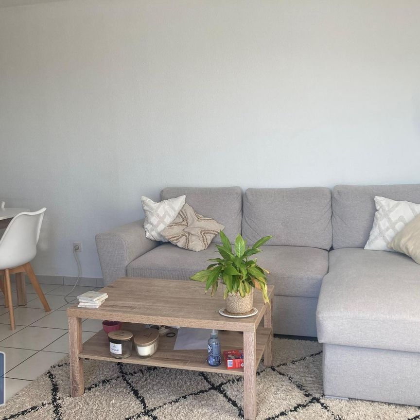 Location Appartement 3 pièces 54m² MONTAUBAN 82000 - Photo 1