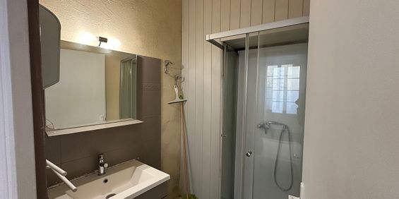 Location Appartement 1 pièce 25m² - Photo 3