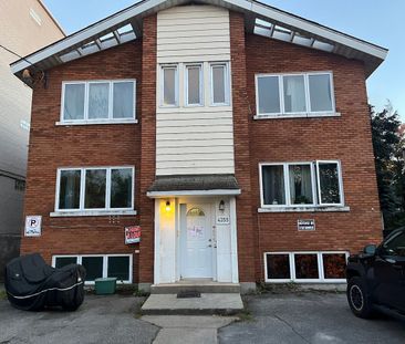 À louer / Loft/Studio - Photo 1