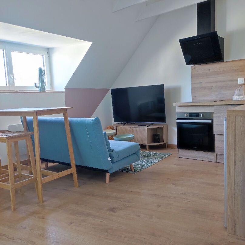 Appartement Douarnenez 1 pièce 19.12m2 - Photo 1