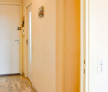 Location Appartement 3 pièces 86m² LORIENT 56100 - Photo 5