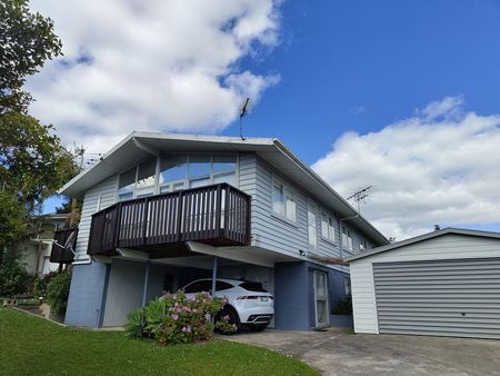 4 Bedroom Sunny Spacious Remuera House - Photo 3