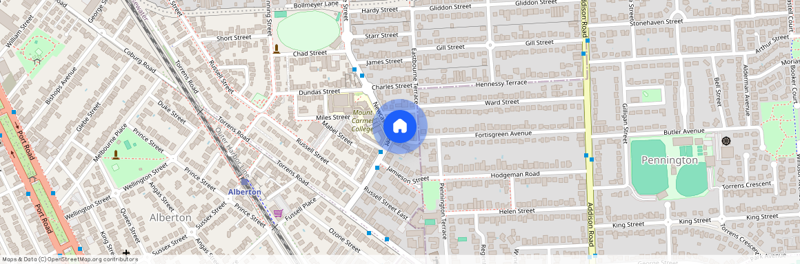 22 Newcastle Street, SA 5013, Rosewater