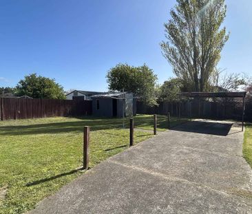 Family Home on Carisbrooke! - Photo 3