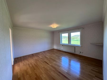 Budalsvägen, Fagerfjäll - Photo 5