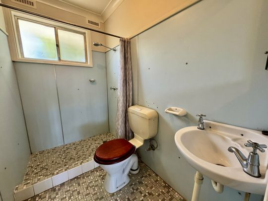 Neat & Convenient 1-Bedroom Unit in South Tamworth - Photo 1