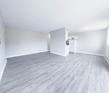 Courtyard Apartments - ALL INCLUSIVE - Photo 6
