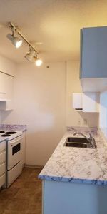 Beautiful 1 bed condo in high rise near Joyce Collingwood station - Photo 4