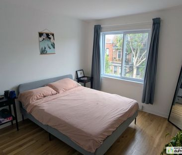 5903, Saint-Hubert, Rosemont / La Petite Patrie à louer - Photo 4