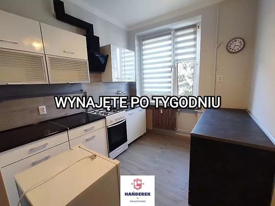 Mieszkanie Do Wynajęcia - Zdjęcie 1