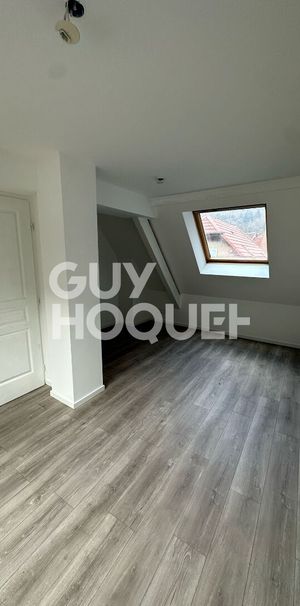 À louer : Superbe 2 pièces en duplex entièrement rénové à Thann - Photo 2