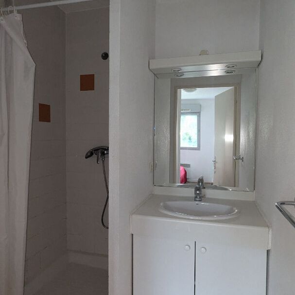 Appartement Saint Sebastien Sur Loire 2 pièce(s) 28.46 m2 / Meublé / Place de parking - Photo 1
