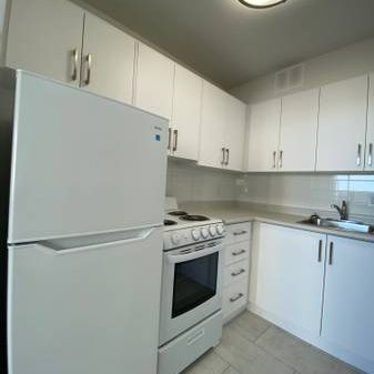 AVAILABLE NOW!!! Bachelor at 70 Cambridge Avenue - Photo 4