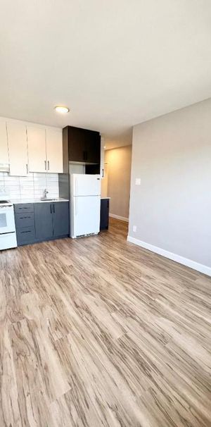 1 CH - 1 SDB - Montréal - $1,300 /mo - Photo 1