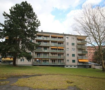 Logement de 1½ pièce transformé danbs un quartier verdoyant - Photo 5